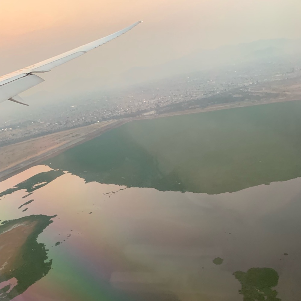 Meet your Posher, Tommy